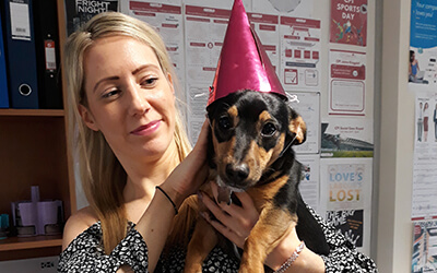 One of our adorable office dogs makes an appearance! How we love our office mascots.